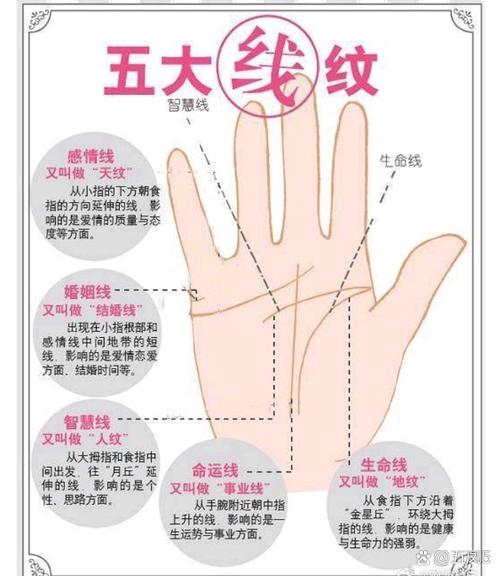 女人生命线图解大全，看女人一生健康