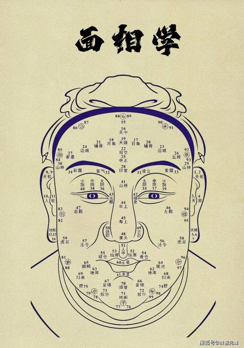 男人眉相图解 连心眉男人非富即贵