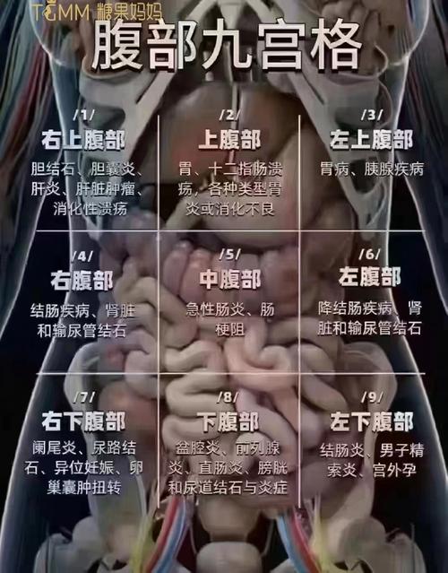 大肥腰的原因找到了，是这里堵了！