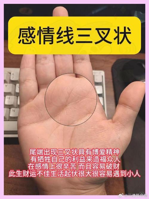 出轨男人的手相图解大全 三线同源