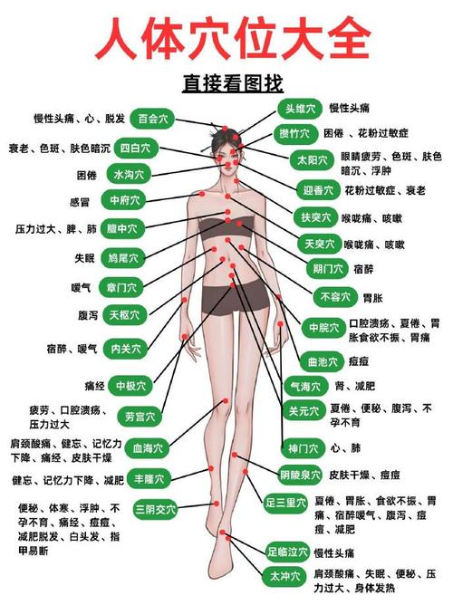 人体穴位图解APP: 穴位养生宝典
